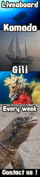 Gili Air Meno Divers - Antares Liveaboard Komodo - Croisieres Plongee - Indonesie - Indonesia - Bali - Flores
